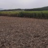 即使已撤回檔案,稅務局仍表示民眾仍須繳納土地稅。